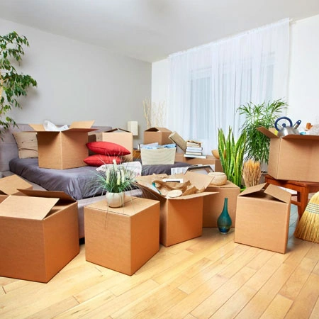 Furniture and Electronics Packing